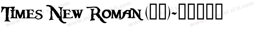 Times New Roman (正文)字体转换